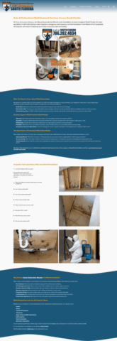 Mold Remediation 351x1024